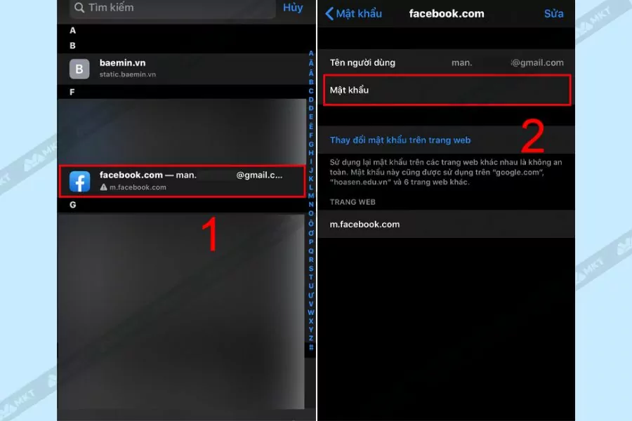cách hiển thị mật khẩu facebook của mình