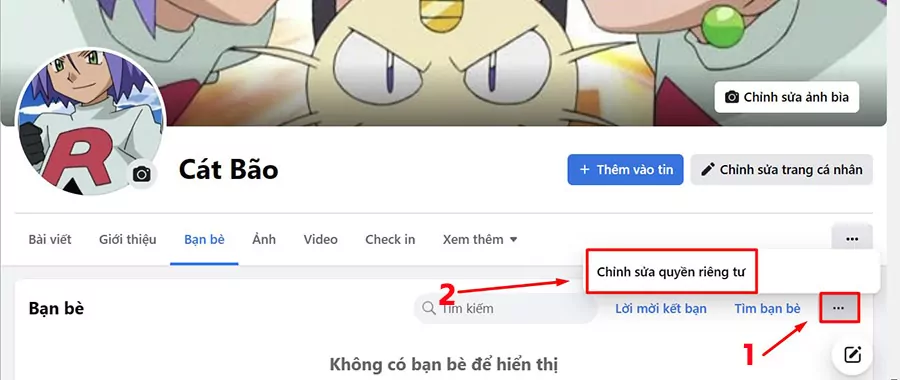 Chọn Chỉnh sửa quyền riêng tư