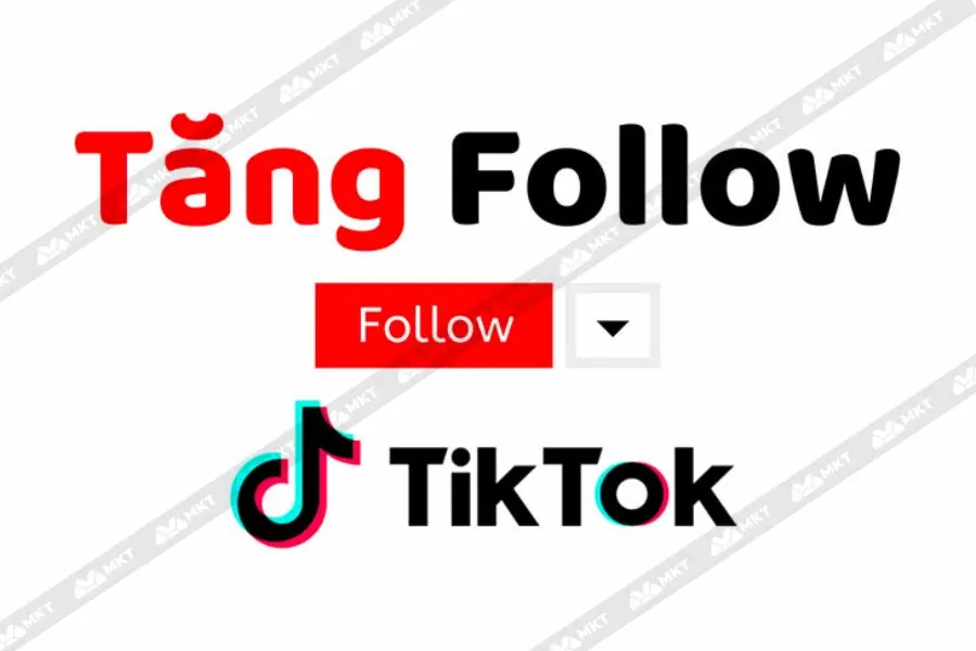 Phần mềm tăng follow TikTok là gì?