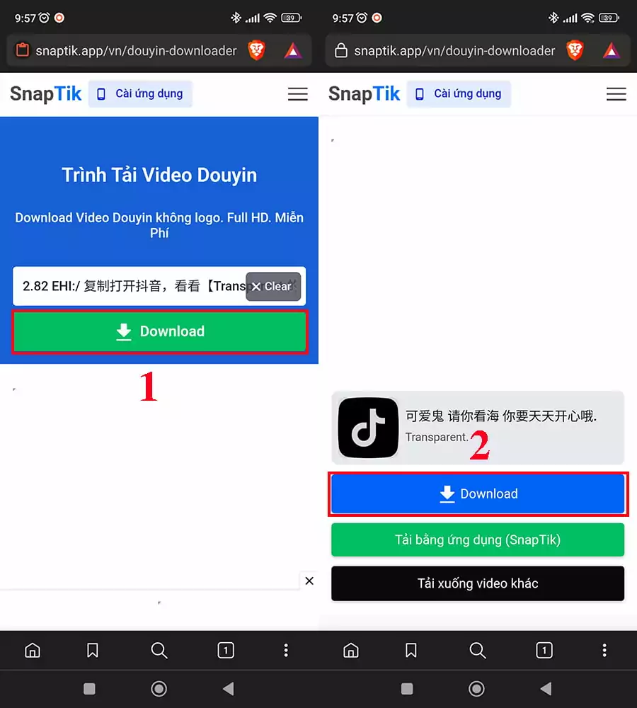Tải video TikTok Trung Quốc không logo với SnapTik