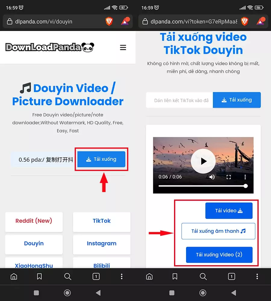 Tải video TikTok Trung Quốc không có logo với Download Panda