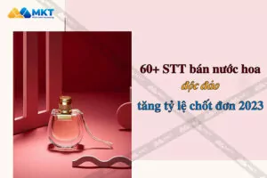 STT bán nước hoa ấn tượng