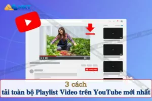 Cách tải toàn bộ Playlist Video trên YouTube