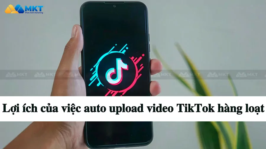 Lợi ích của việc auto upload video TikTok số lượng lớn