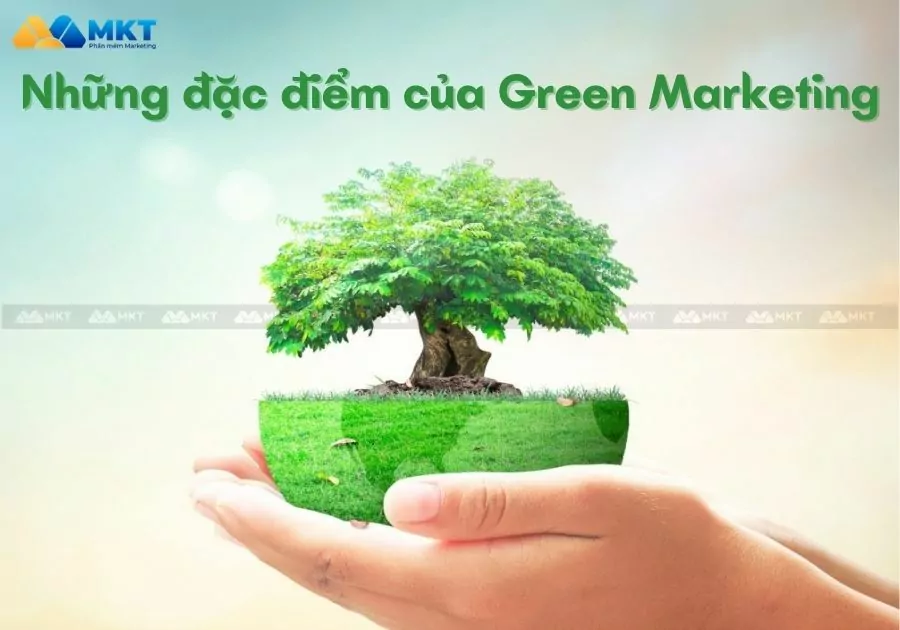 Những đặc điểm của Green Marketing là gì?