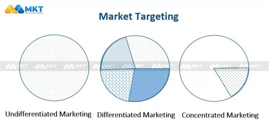 Marketing tập trung và Marketing phân biệt