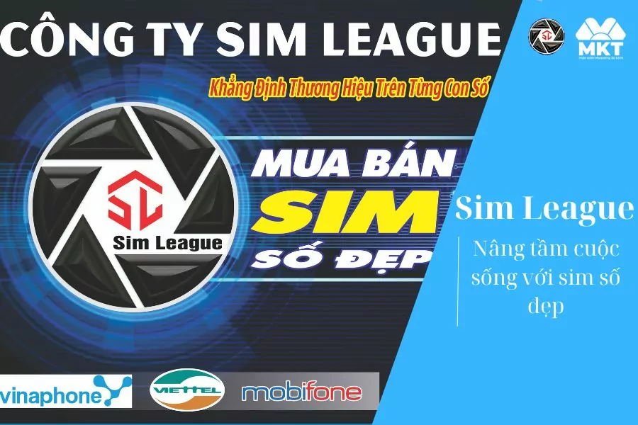 Sim League - Sim Vip Pitter