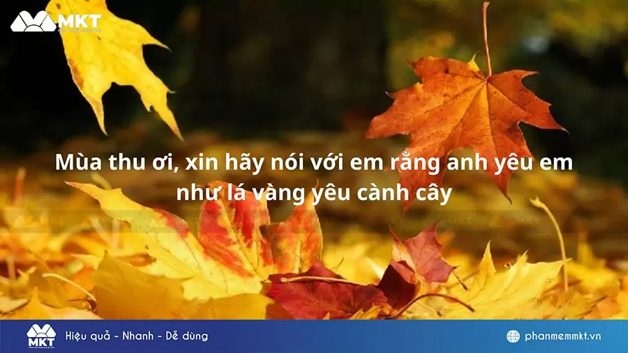 Stt mùa thu hài hước