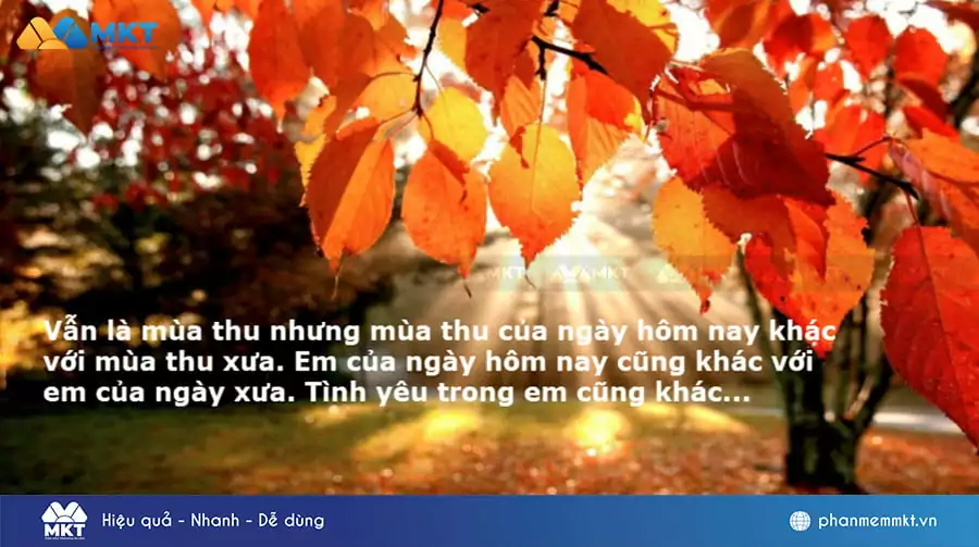 Những stt mùa thu hay, ý nghĩa
