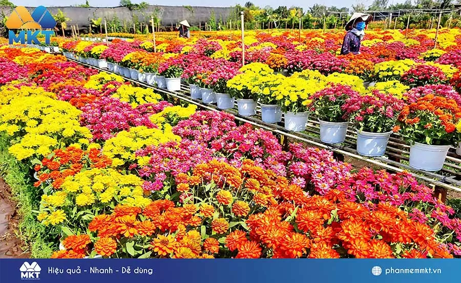 Làng hoa Sa Đéc Đồng Tháp - Chợ hoa đầu mối lớn nhất miền Tây
