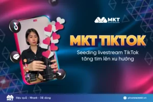 Banner phần mềm MKT TikTok